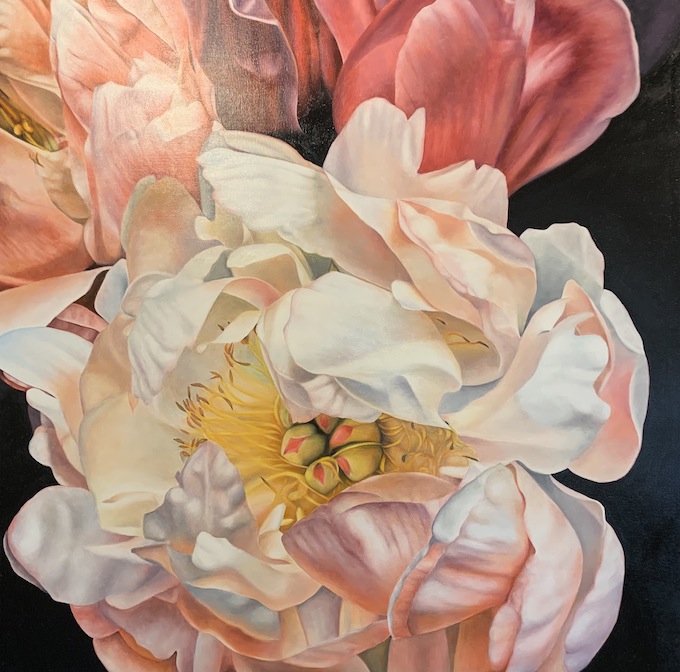 Mary Mulholland| Peonies II| McAtamney Gallery and Design Store | Geraldine NZ